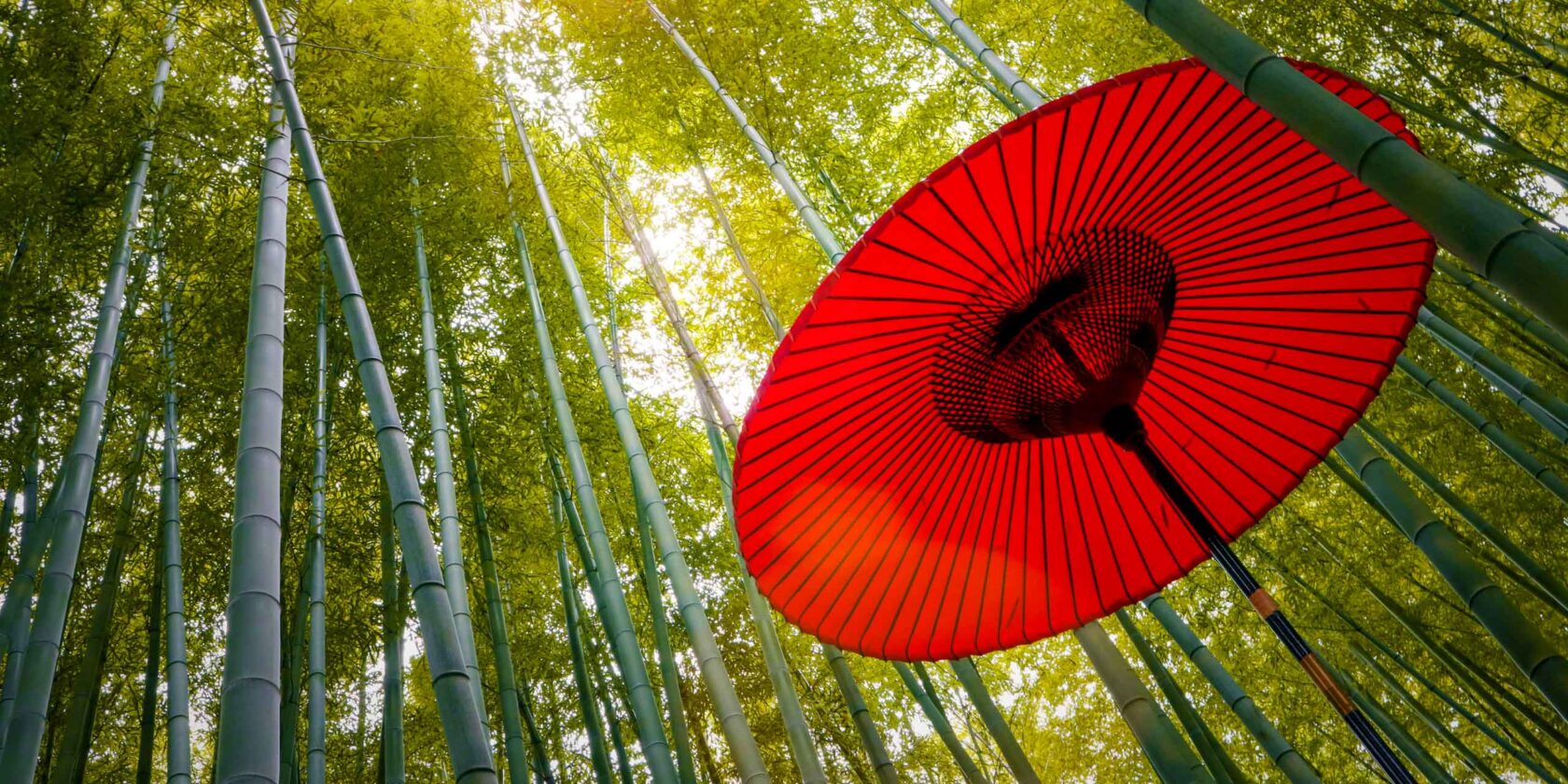A red parasol umbrella in a bamboo forest.