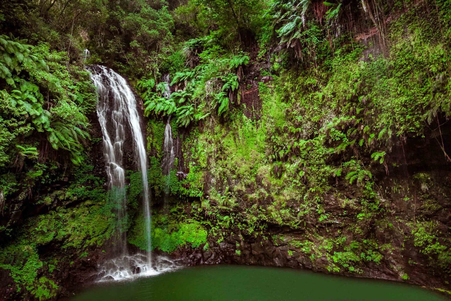 Waterfall and swimming hole surrounded by greenery at Amber Mountain National Park.