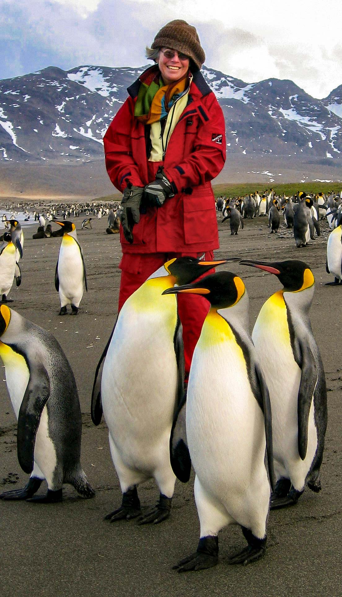 A tourist surrounded by king penguins in Antarctica.