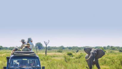 A group of hikers on a vehicle watching an Elephant pass by.