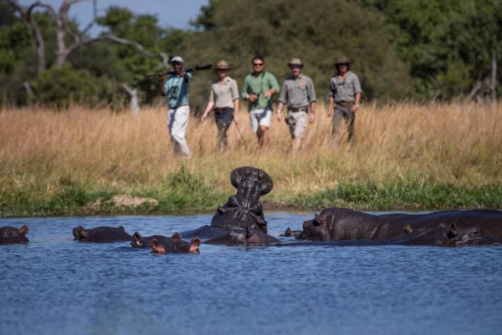 A group of travelers on a safari watching wildlife in Botswana.