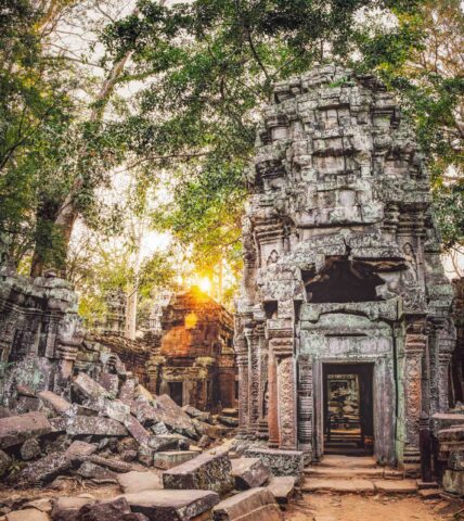 Ta Prohm Temple in Cambodia.