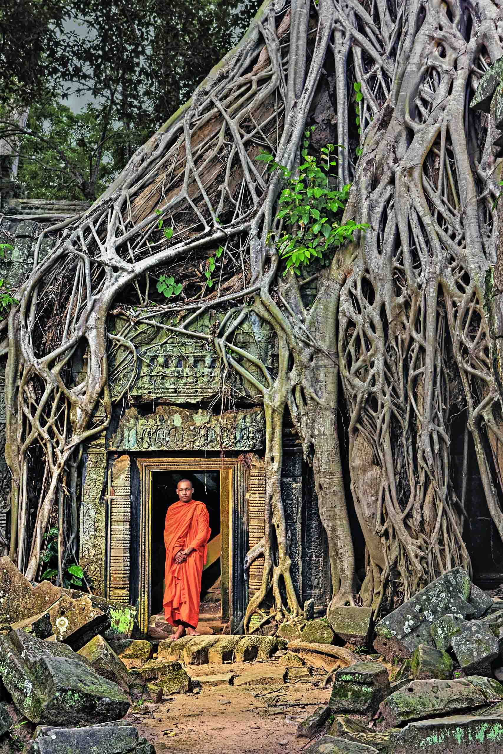 Forest roots devour ruins at Ta Prohm.
