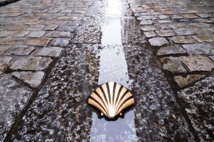 Symbol of the camino de santiago.