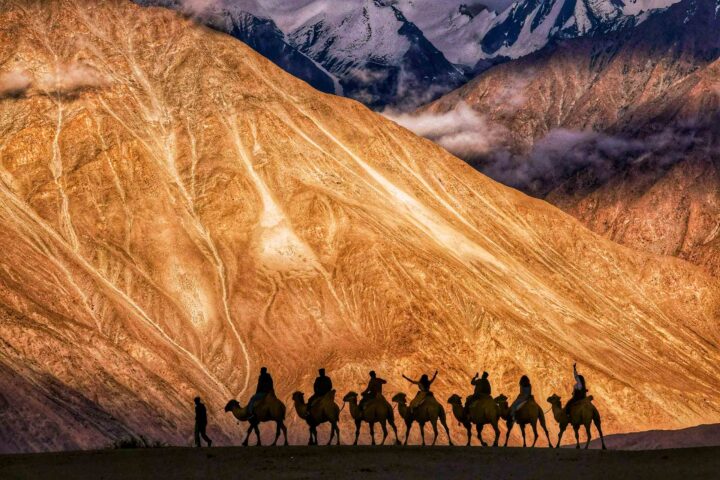 A group of people riding camels.