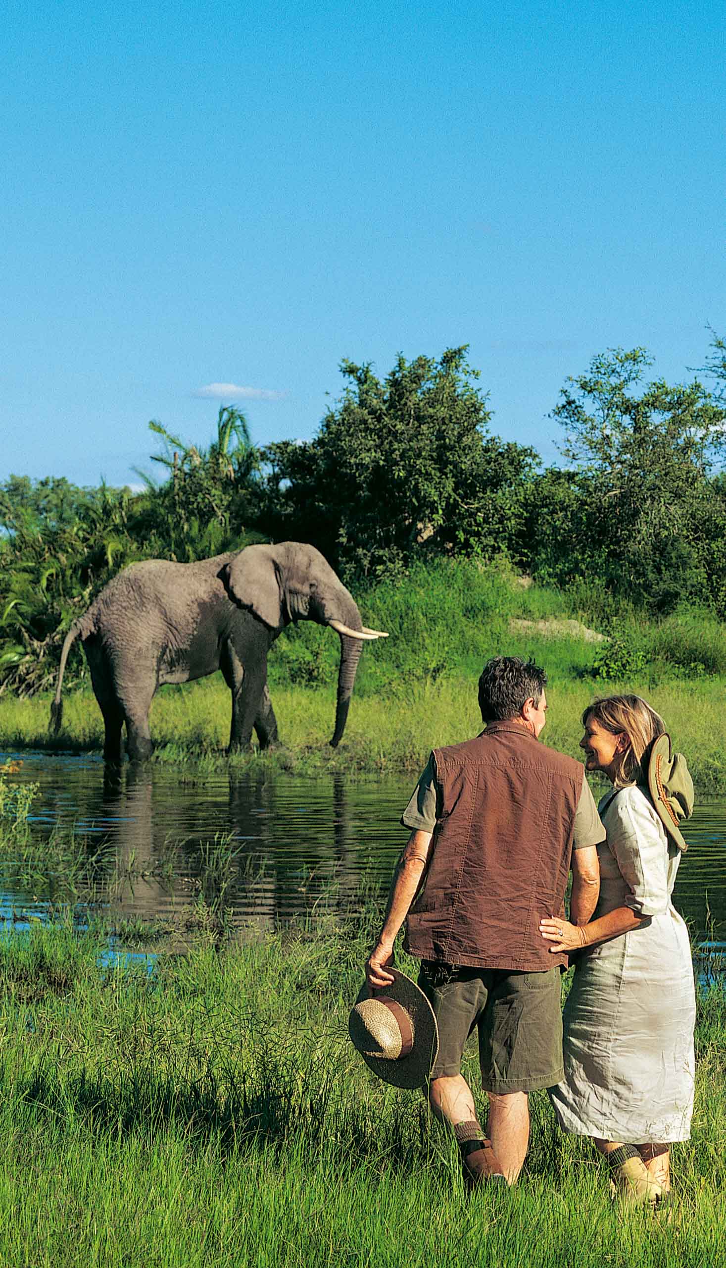 A couple on a safari watching an elephant.