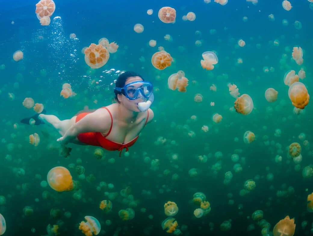 A person scuba diving alongside jelly fish.