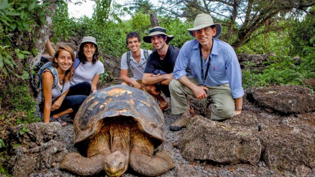 A group of tourists observing a giant tortoise in the Galápagos Islands.