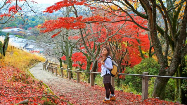 A woman enjoying the foliage in Japan.