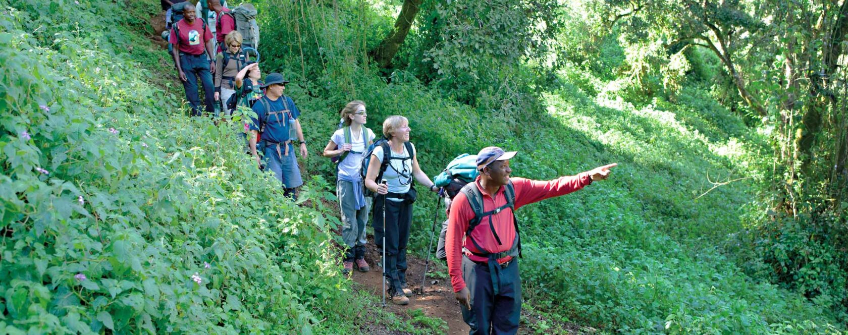 A group of travelers hiking in Kilimanjaro.