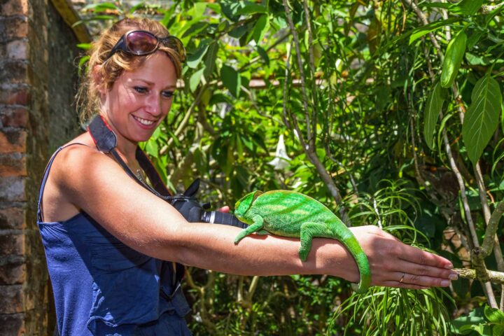 A woman with a chameleon resting on her arm.