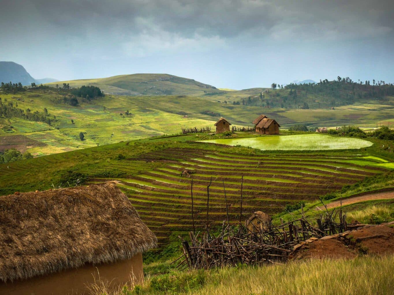 Traditional mud houses and rice paddy in Madagascar.
