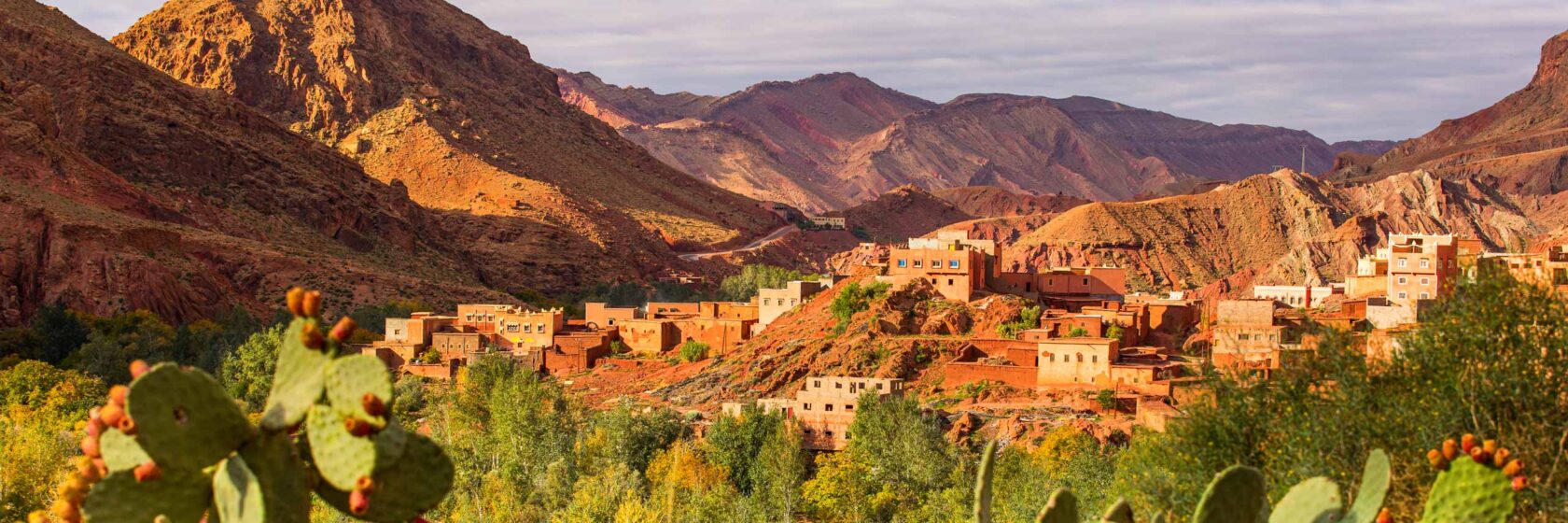 Dramatic scenery in High Atlas Mountains with cactus and trees in foreground and sprawling clay-brick village in background.