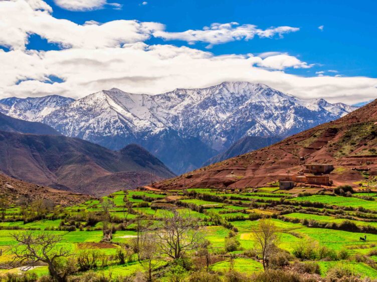 View of the Atlas Mountains, Ourika Valley.