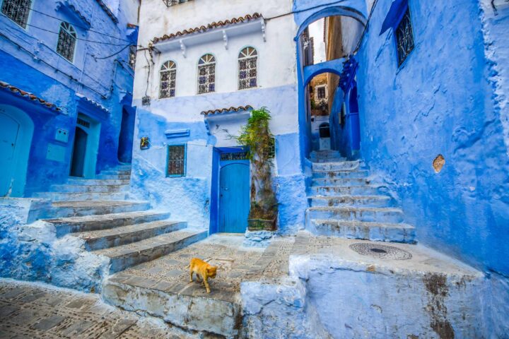 Blue city in Morocco.