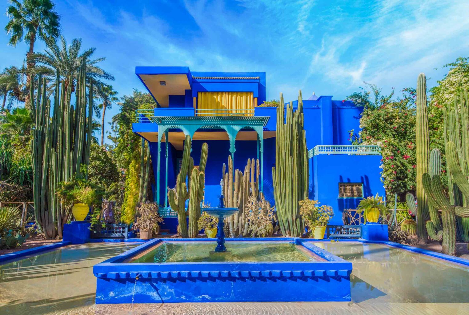 Bright blue architecture and tall, sculptural cactus are stunning in the Majorelle Gardens of Marakkash.