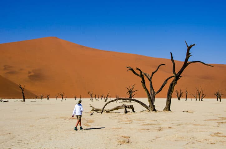A desert landcape in Namibia.