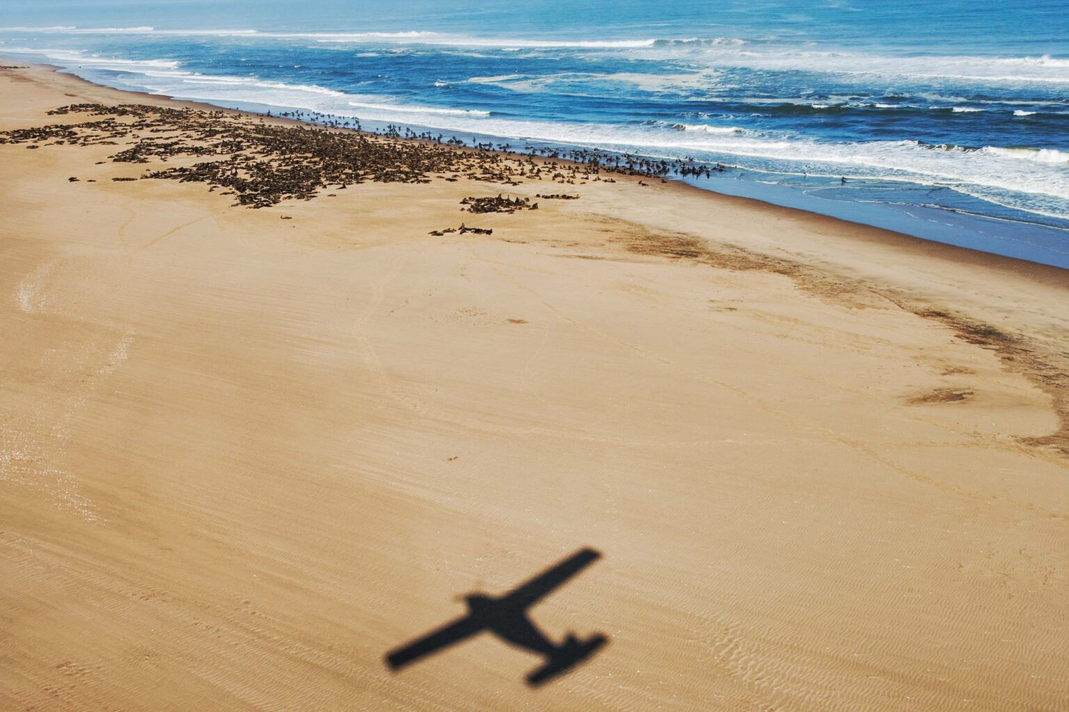 A shadow of a plane flying over a beach in Namibia.