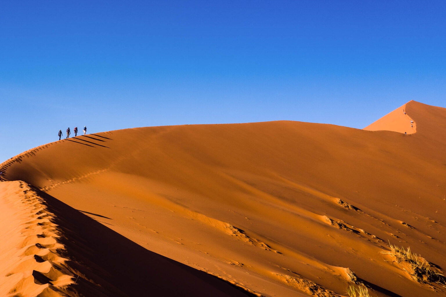 A group of people climbing the sand dunes of Sossusvlei.