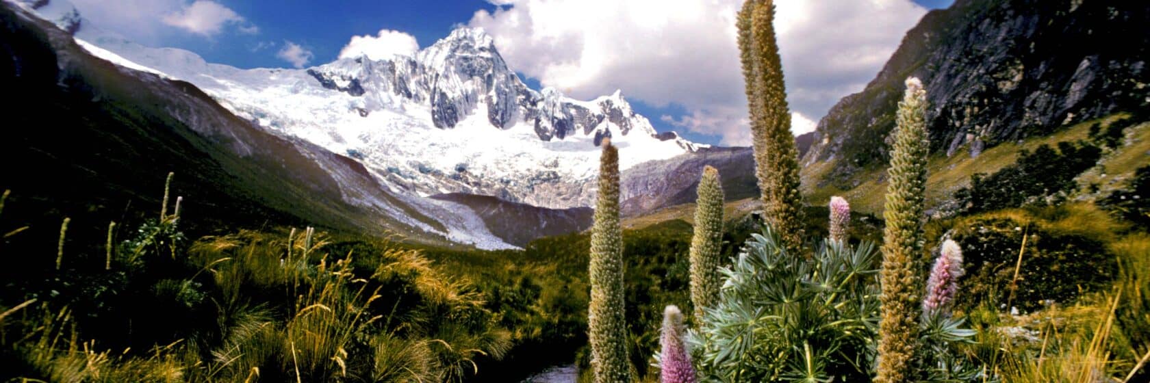Snow peaked mountains in Peru.