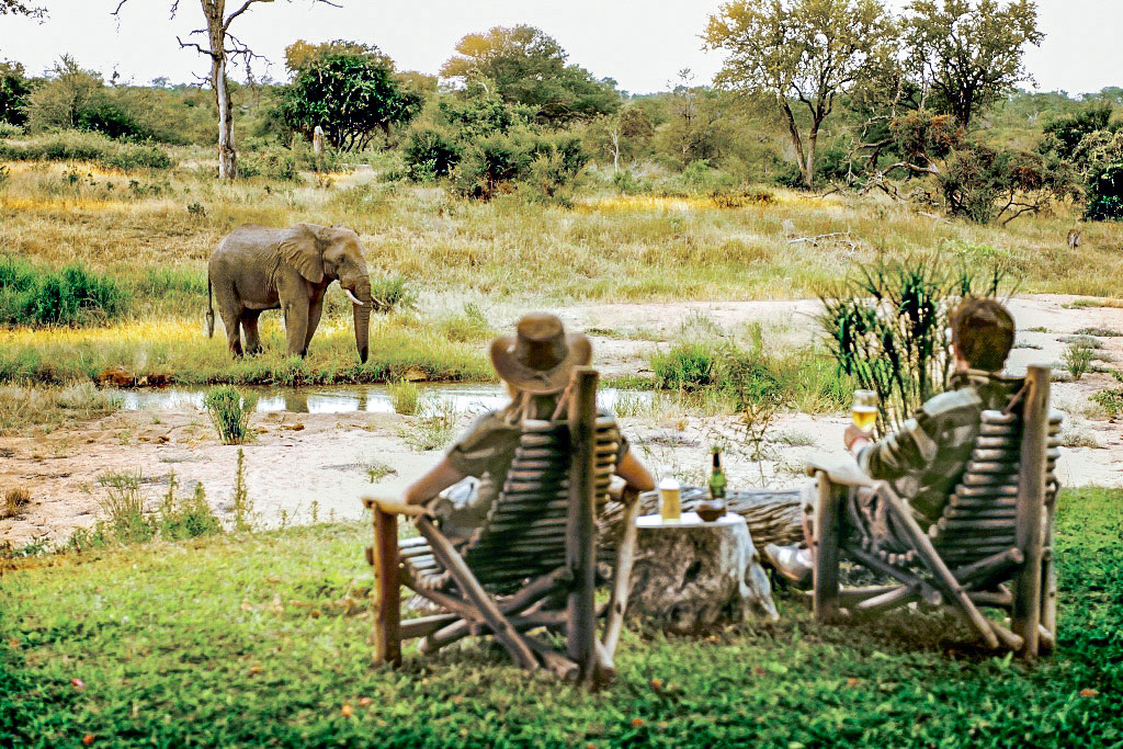 A couple watching an elephant.