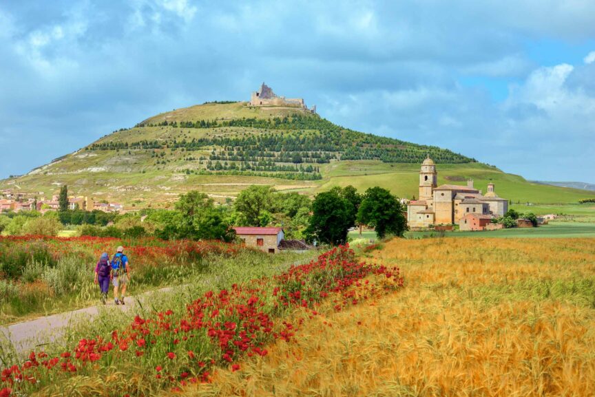 A field of wildflowers with a castle in the background.