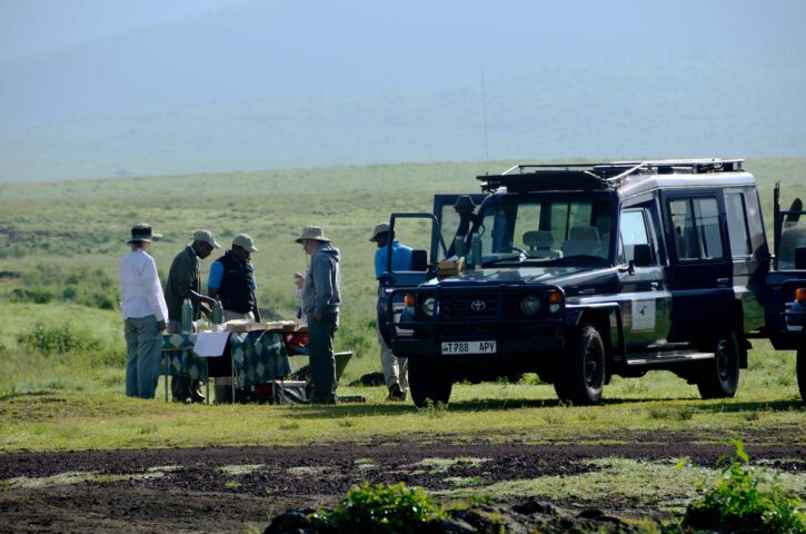 A group of people having a meal outside a safari vehicle.