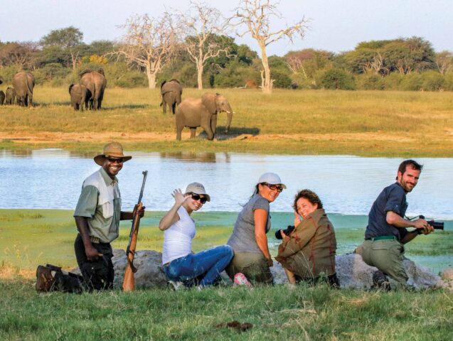 A group of travelers on a safari observing elephants in Zimbabwe.