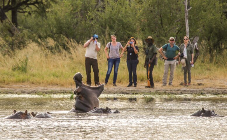 A group of tourists observing hippos.