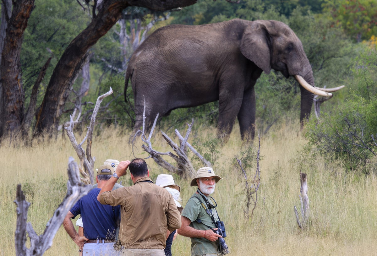 A group of travelers on a walking safari.