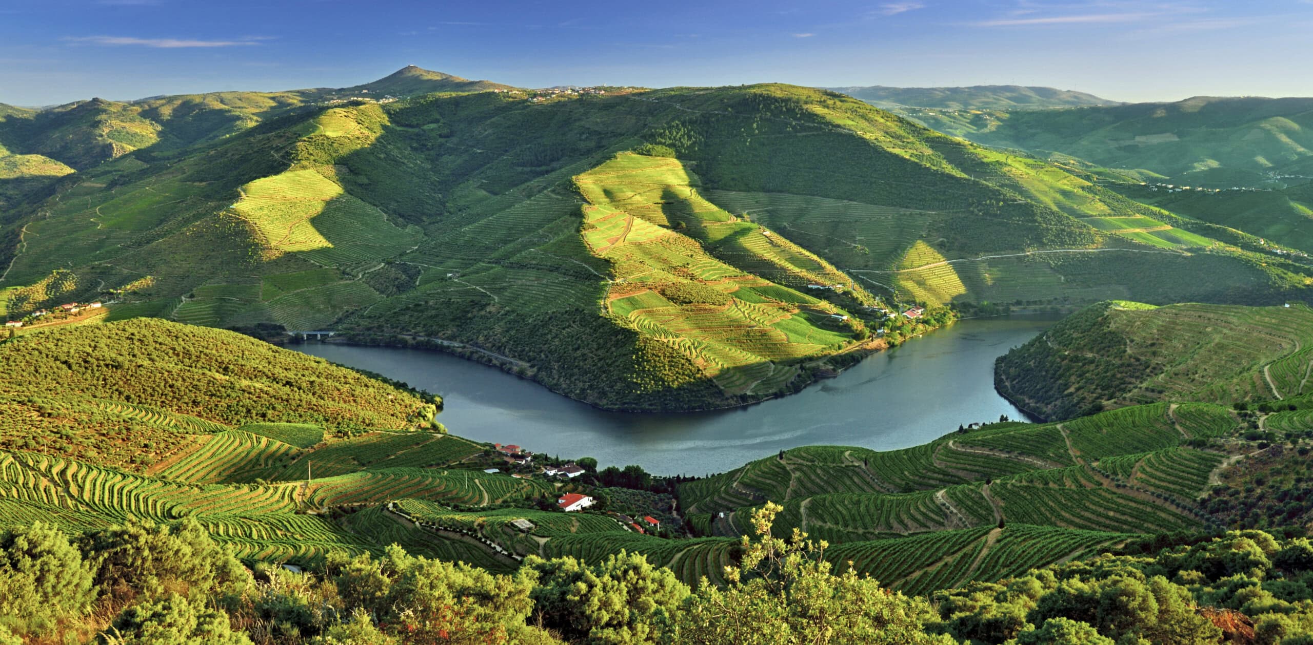 A Local's Guide to Travel in Central Portugal — Go Ask A Local