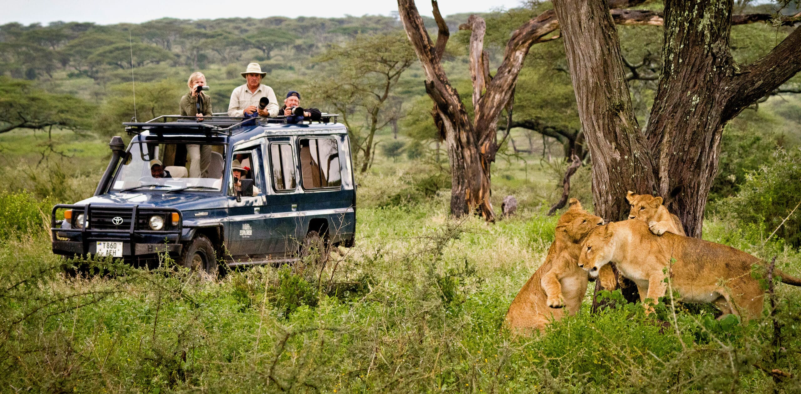 Serengeti & Migration Magic » Wildlife Safari