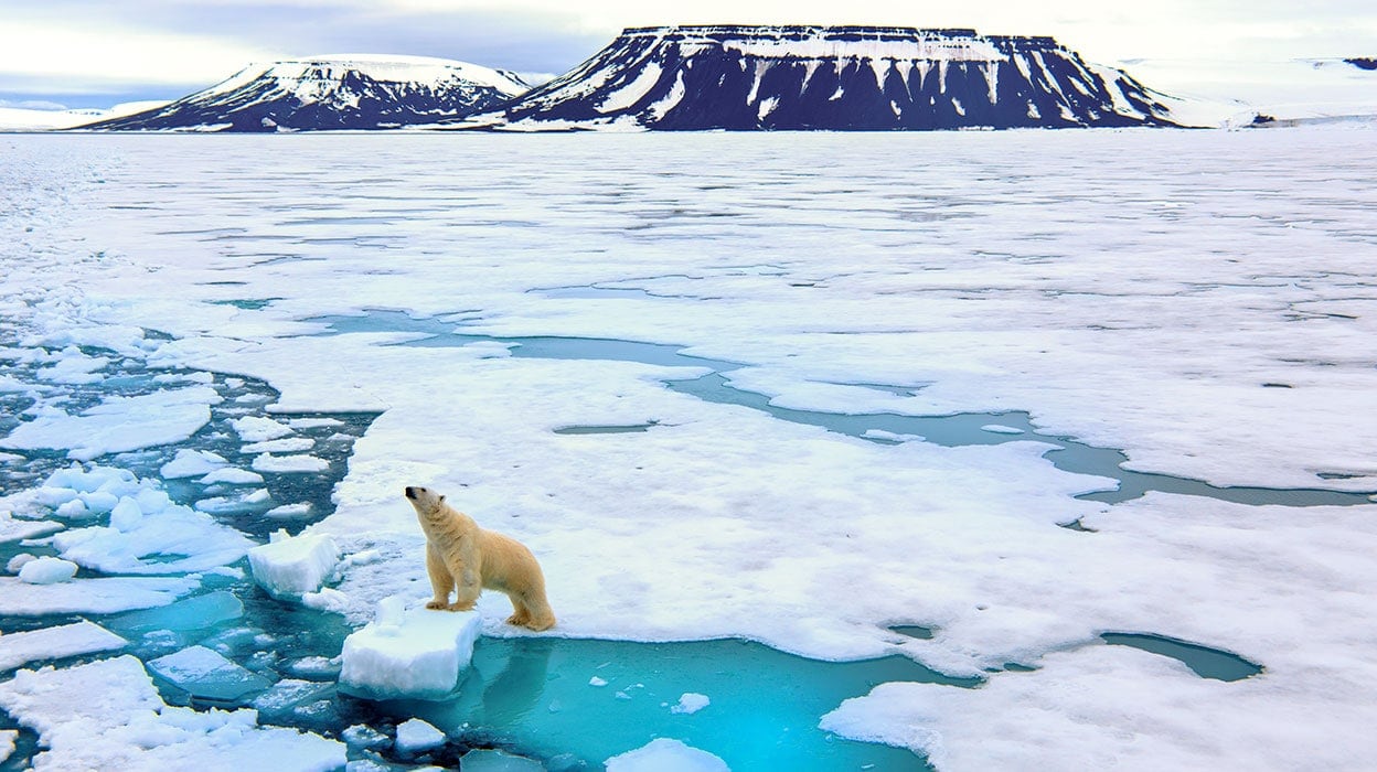 The Arctic Circle: Polar portal to the Arctic