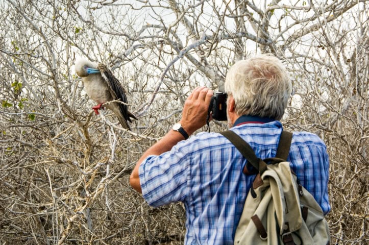 Tourist photographing Red footed Booby bird