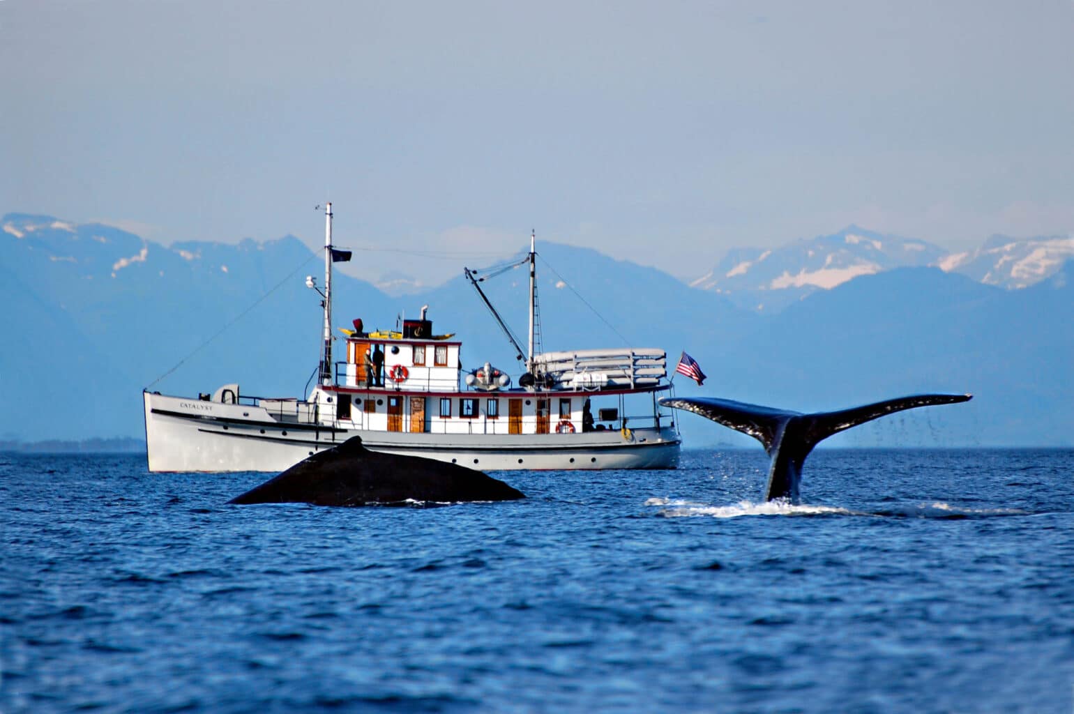A whale near a boat in Alaska.