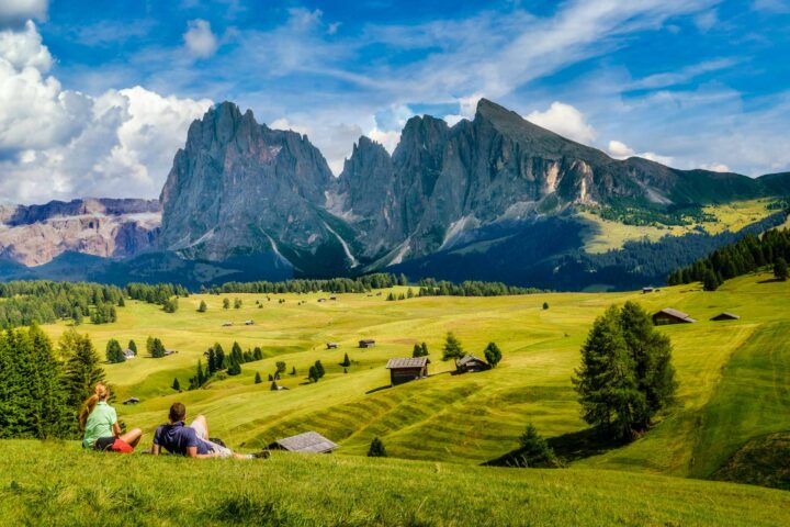 A meadow in the Dolomites.