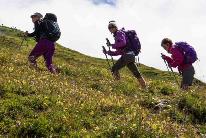 Hikers passing a field of wildflowers.