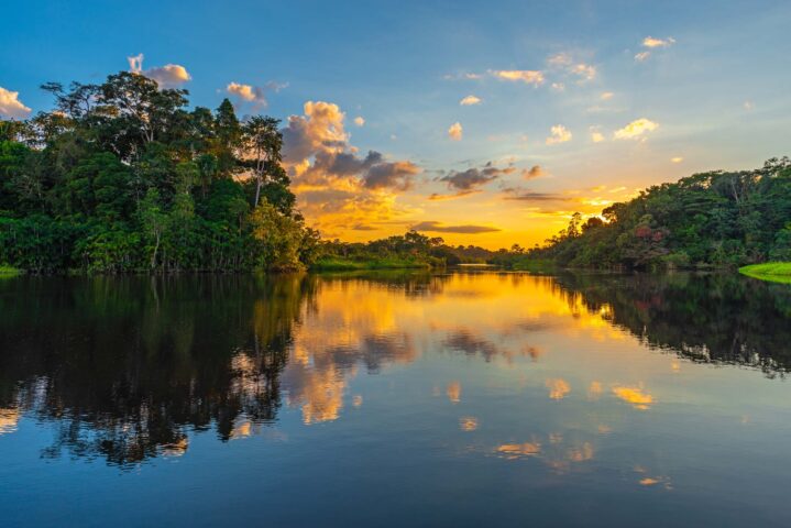 A lagoon in the Amazon at sunset.