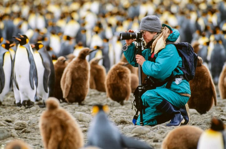 A photographer taking photos of penguins in South Georgia.