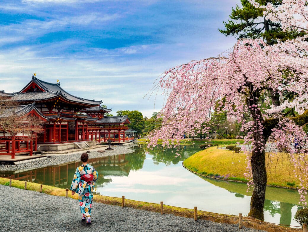 Asian women wearing traditional japanese kimono in Byodo-in Temple in Uji, Kyoto, Japan during spring. Cherry blossom in Kyoto, Japan.