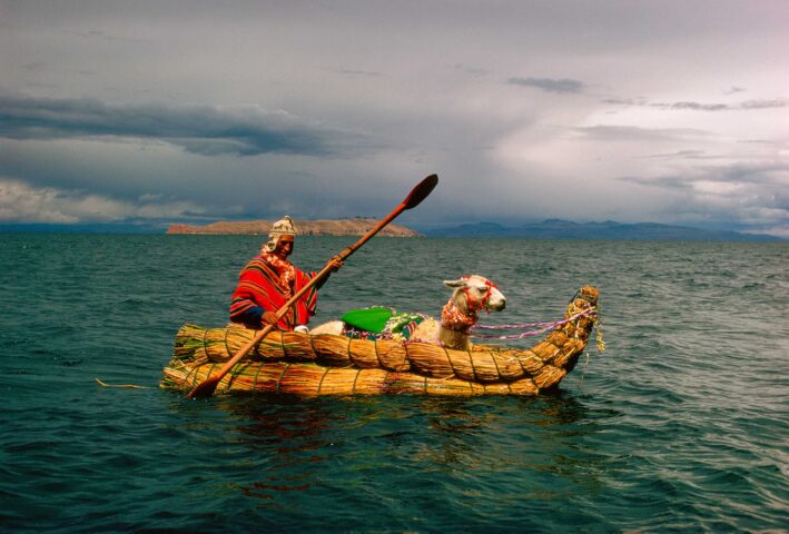 An oarsman and a llama in a boat.