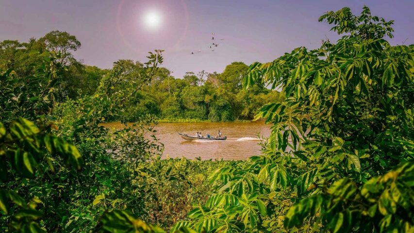 A fisherman's boat in a river in a jungle.