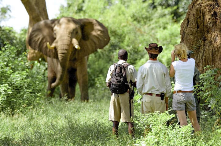 wilderness safaris namibia tours