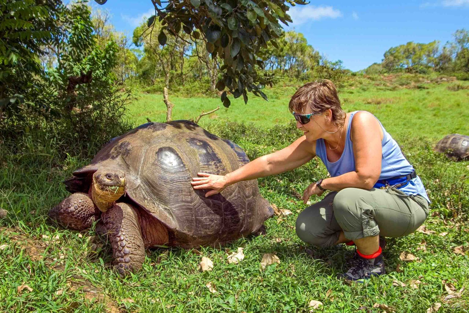 A tourist alongside a giant tortoise.