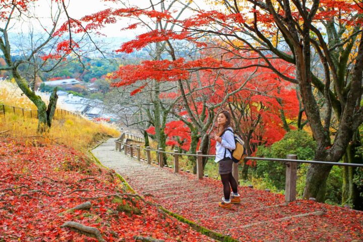 A tourist on a trail with red foliage in autumn in Japan.
