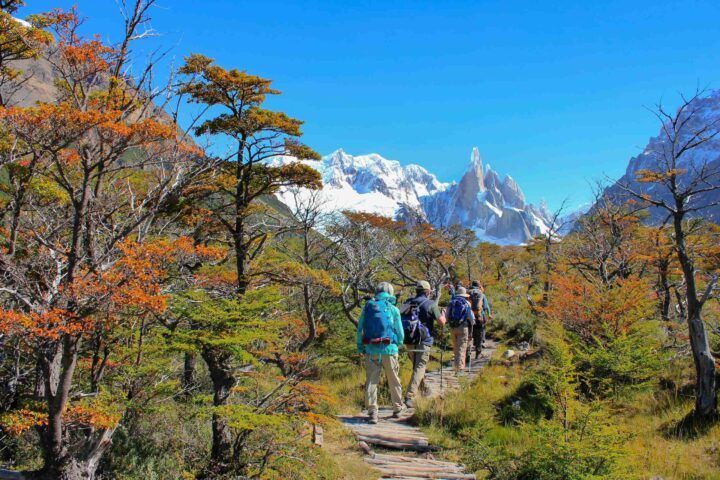 A group of hikers on a trail in Patagonia.