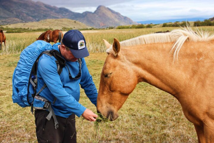 A hiker feeding a horse.