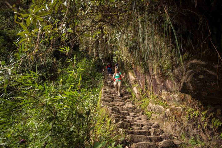 A tourist climbing steps on the Inca trail.