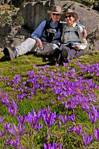 A couple sitting by purple wildflowers.