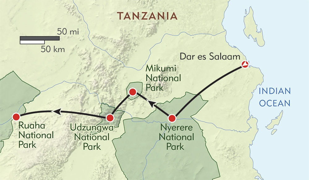 safari southern tanzania